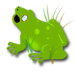 frog